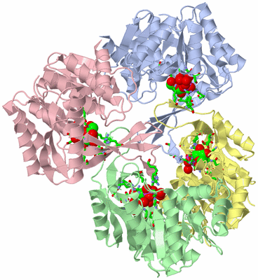 Image Asym./Biol. Unit - sites