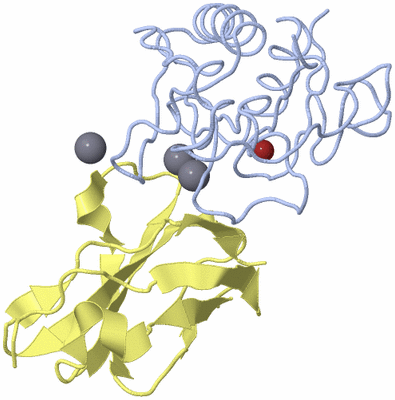 Image Biological Unit 1