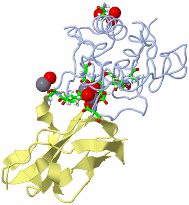 Image Biol. Unit 1 - sites