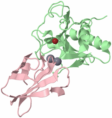 Image Biological Unit 1