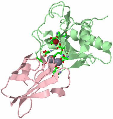 Image Biol. Unit 1 - sites