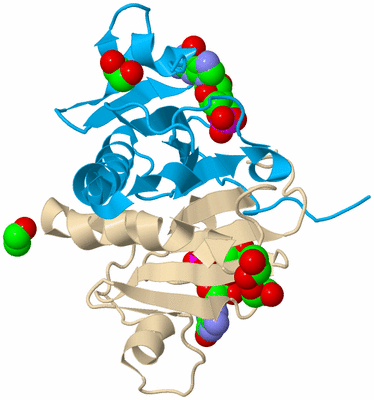 Image Biological Unit 3