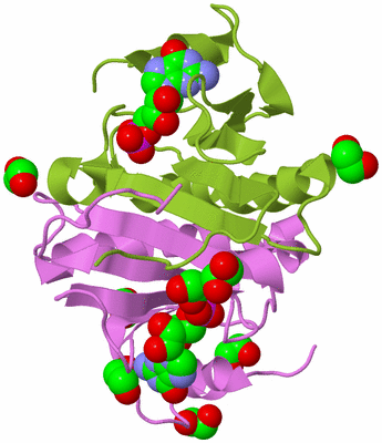 Image Biological Unit 4