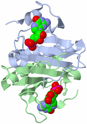 Image Biological Unit 1