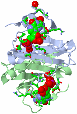 Image Biol. Unit 1 - sites