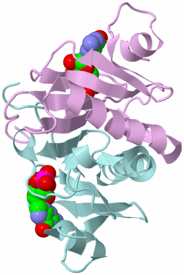 Image Biological Unit 2