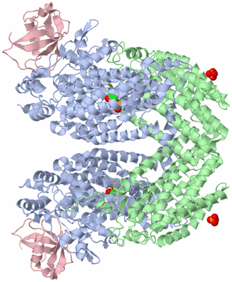 Image Biological Unit 1