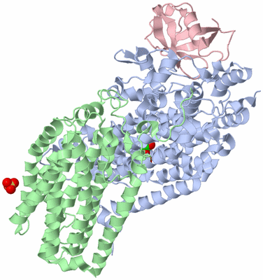 Image Biological Unit 2