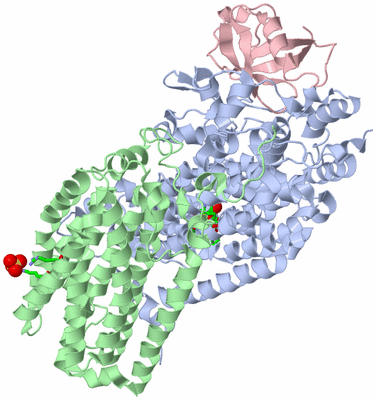 Image Asym. Unit - sites