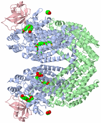 Image Biological Unit 1