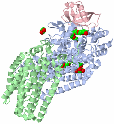 Image Biological Unit 2