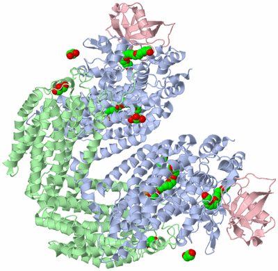 Image Biological Unit 1