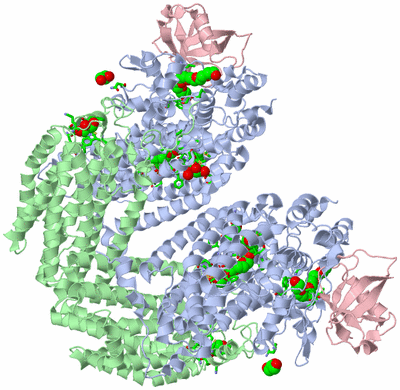 Image Biol. Unit 1 - sites