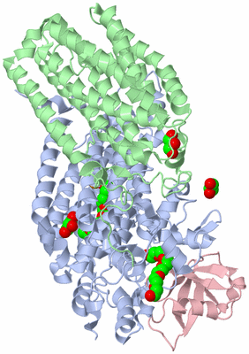 Image Biological Unit 2