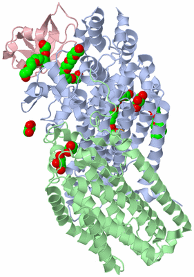 Image Biological Unit 2