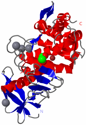 Image Asym./Biol. Unit