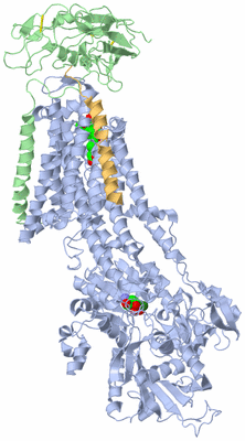 Image Biological Unit 1