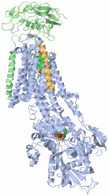 Image Biol. Unit 1 - sites