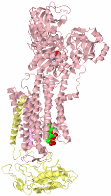 Image Biological Unit 2