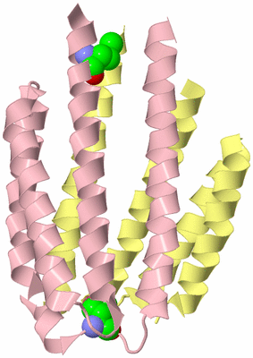 Image Biological Unit 2