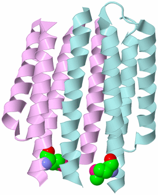 Image Biological Unit 3