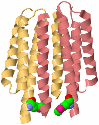 Image Biological Unit 4