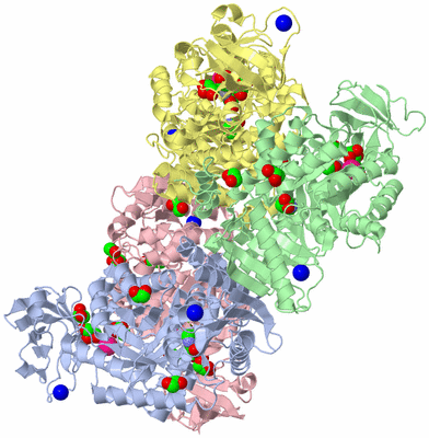 Image Biological Unit 1