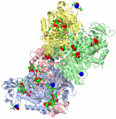 Image Biol. Unit 1 - sites