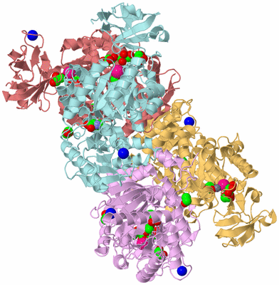 Image Biological Unit 2