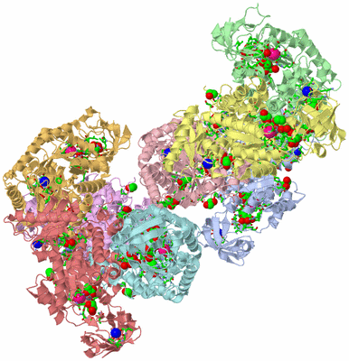 Image Asym. Unit - sites