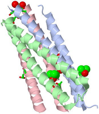 Image Asym./Biol. Unit - sites