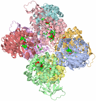 Image Biol. Unit 1 - sites