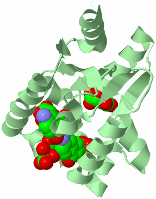 Image Biological Unit 2