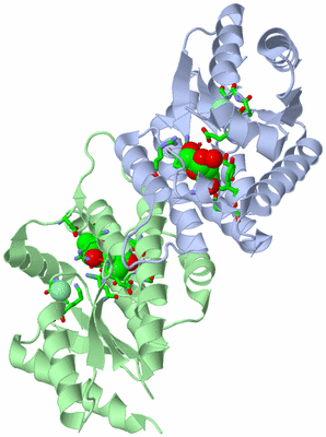Image Asym./Biol. Unit - sites