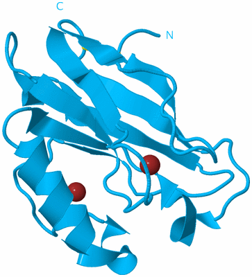 Image Biological Unit 10