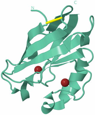 Image Biological Unit 12