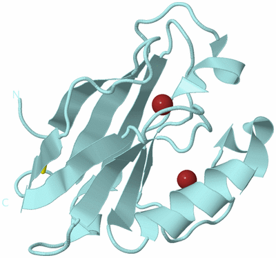 Image Biological Unit 6