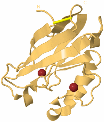 Image Biological Unit 7