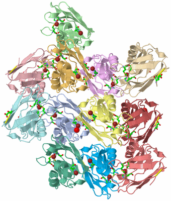 Image Asym. Unit - sites