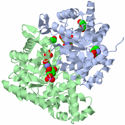 Image Asym./Biol. Unit