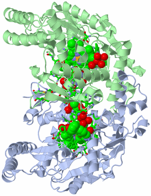 Image Asym./Biol. Unit - sites