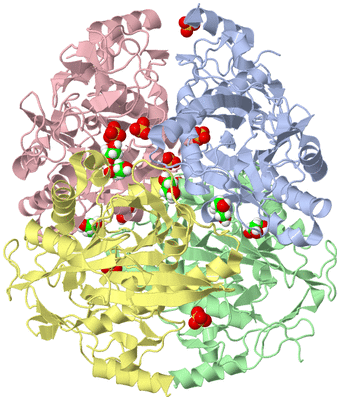 Image Asym./Biol. Unit