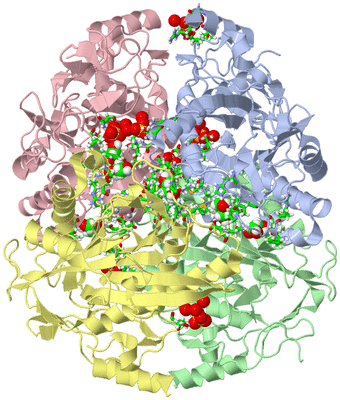 Image Asym./Biol. Unit - sites