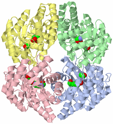 Image Asym./Biol. Unit