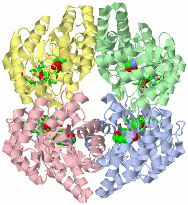 Image Asym./Biol. Unit - sites