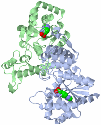 Image Asym./Biol. Unit