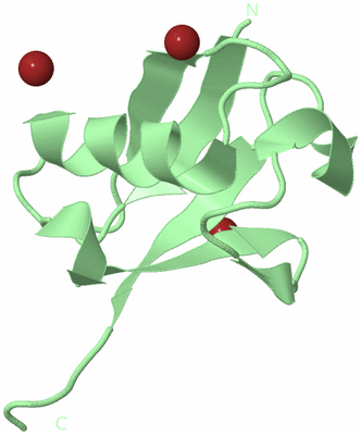 Image Biological Unit 2