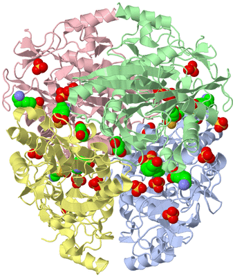 Image Asym./Biol. Unit