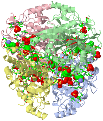 Image Asym./Biol. Unit - sites