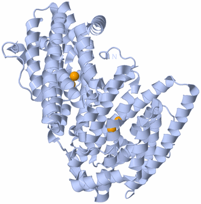 Image Biological Unit 1